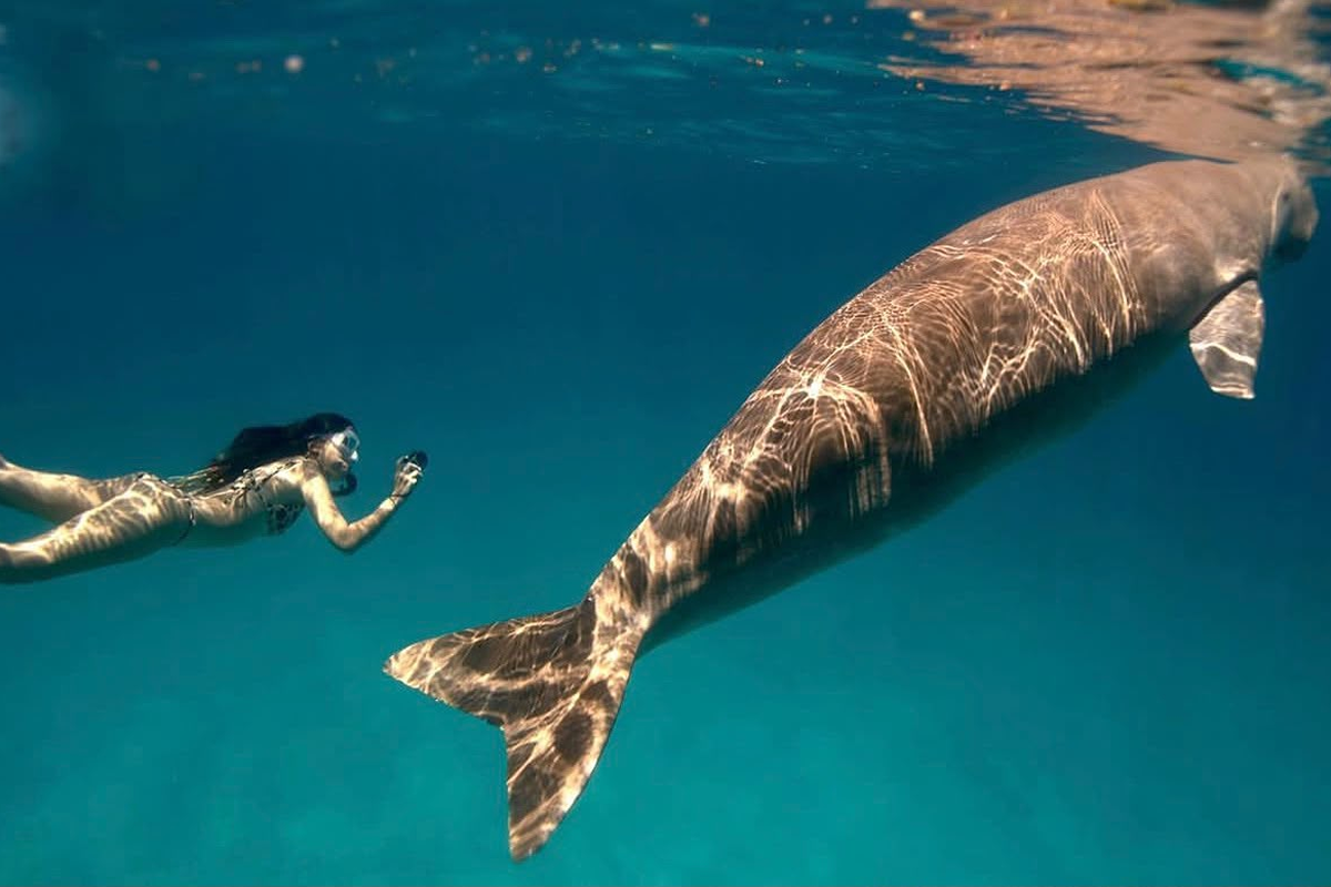 Free-Diving-image-2